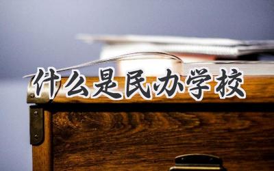 什么是民办学校