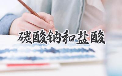 碳酸钠和盐酸