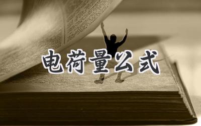 电荷量公式