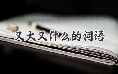 又大又什么的词语