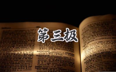 第三极