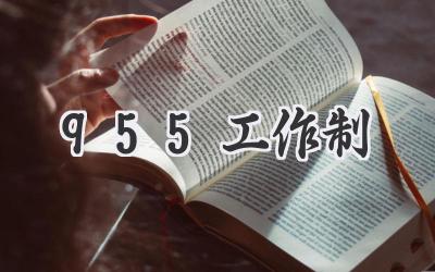 955工作制