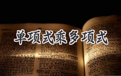 单项式乘多项式
