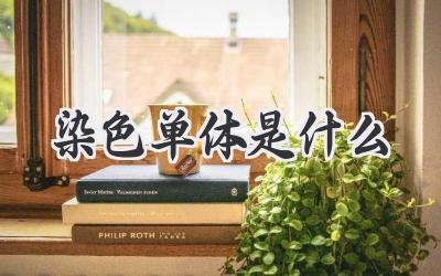 染色单体是什么