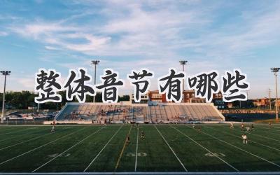 整体音节有哪些