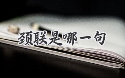 颈联是哪一句