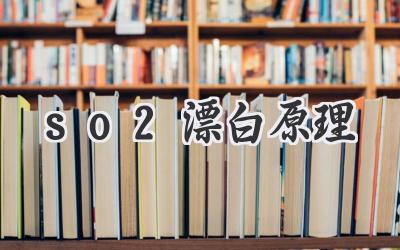 so2漂白原理
