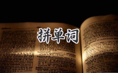 拼单词