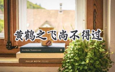 黄鹤之飞尚不得过