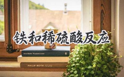 铁和稀硫酸反应