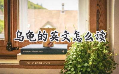 乌龟的英文怎么读