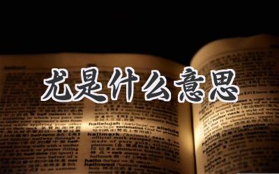 尤是什么意思