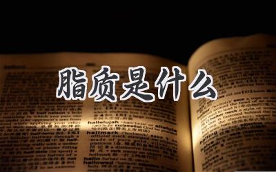 脂质是什么