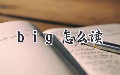 big怎么读