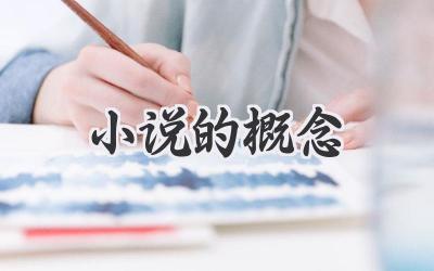 小说的概念