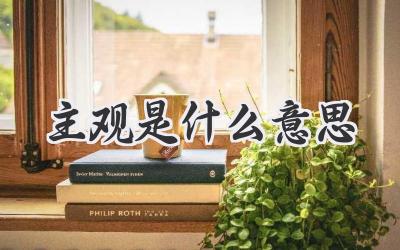 主观是什么意思