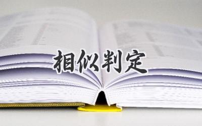 相似判定