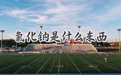 氯化钠是什么东西