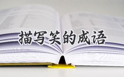 描写笑的成语