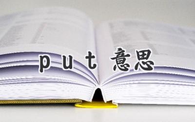 put意思