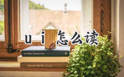 ui怎么读