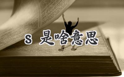 s是啥意思