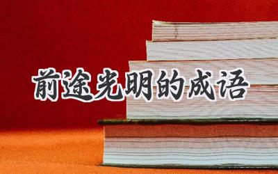 前途光明的成语