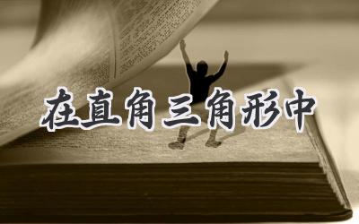在直角三角形中