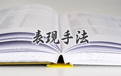 表现手法