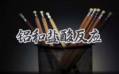 铝和盐酸反应