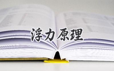 浮力原理