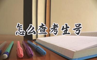 怎么查考生号