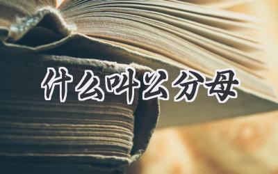 什么叫公分母