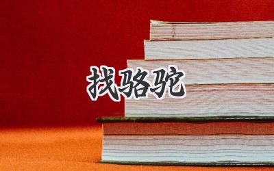 找骆驼