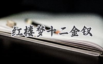 红楼梦十二金钗