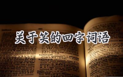 关于笑的四字词语