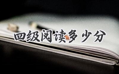 四级阅读多少分