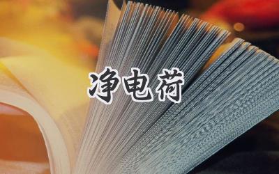 净电荷