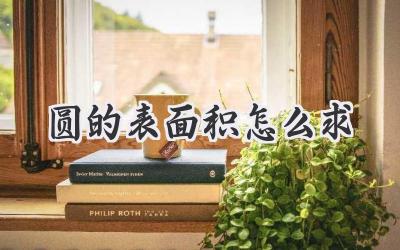 圆的表面积怎么求