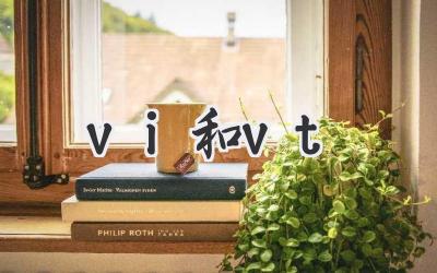 vi和vt