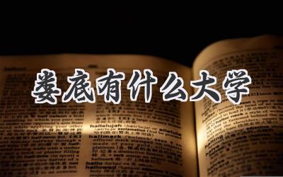 娄底有什么大学