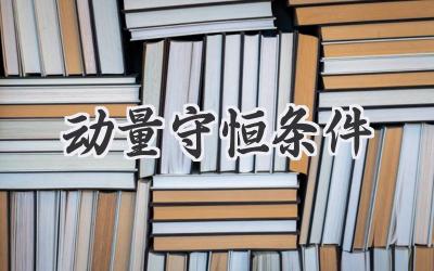 动量守恒条件