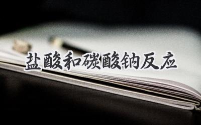 盐酸和碳酸钠反应