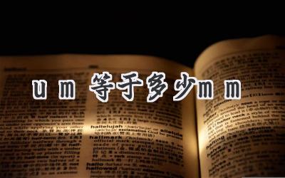 um等于多少mm