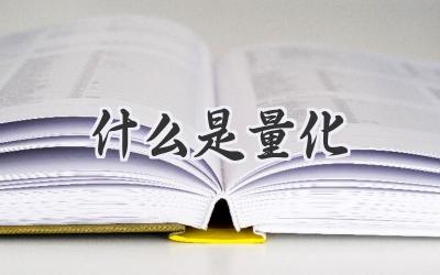 什么是量化