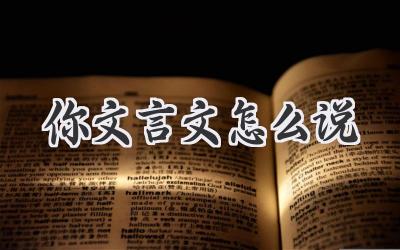 你文言文怎么说
