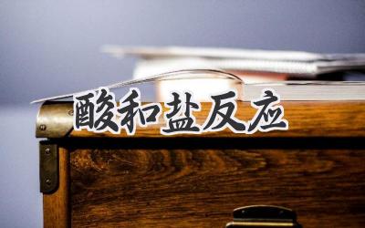 酸和盐反应