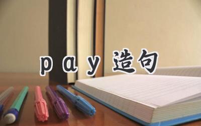 pay造句