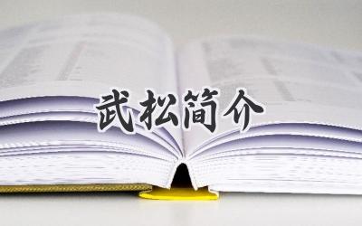 武松简介