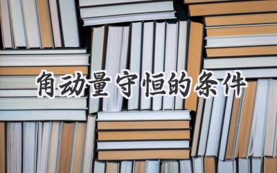 角动量守恒的条件